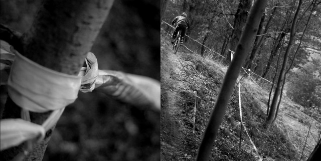 DownHill MTB