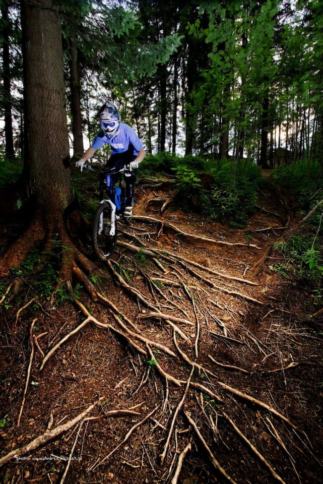 DownHill MTB