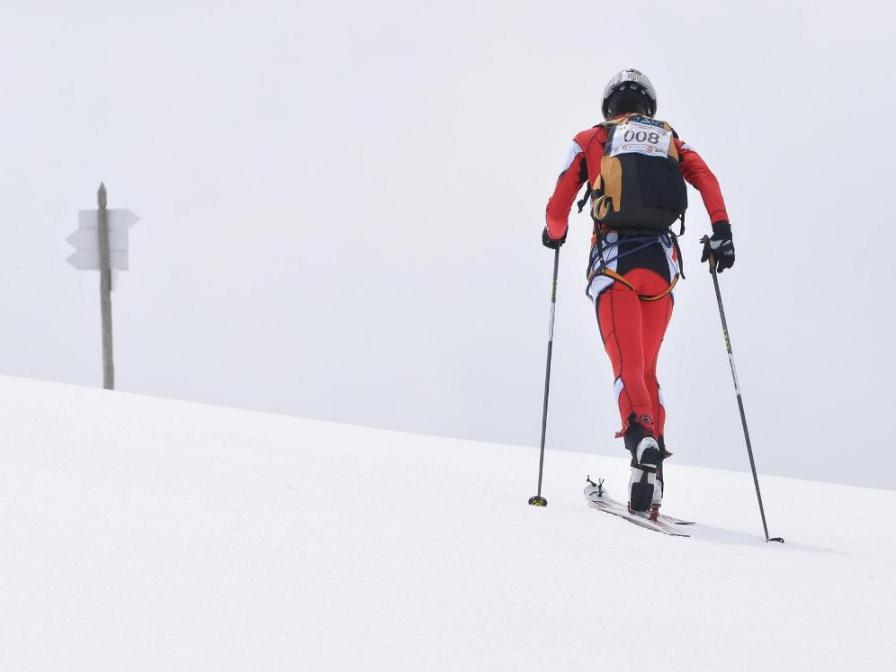 Zaprawa kondycyjna, Nordic walking