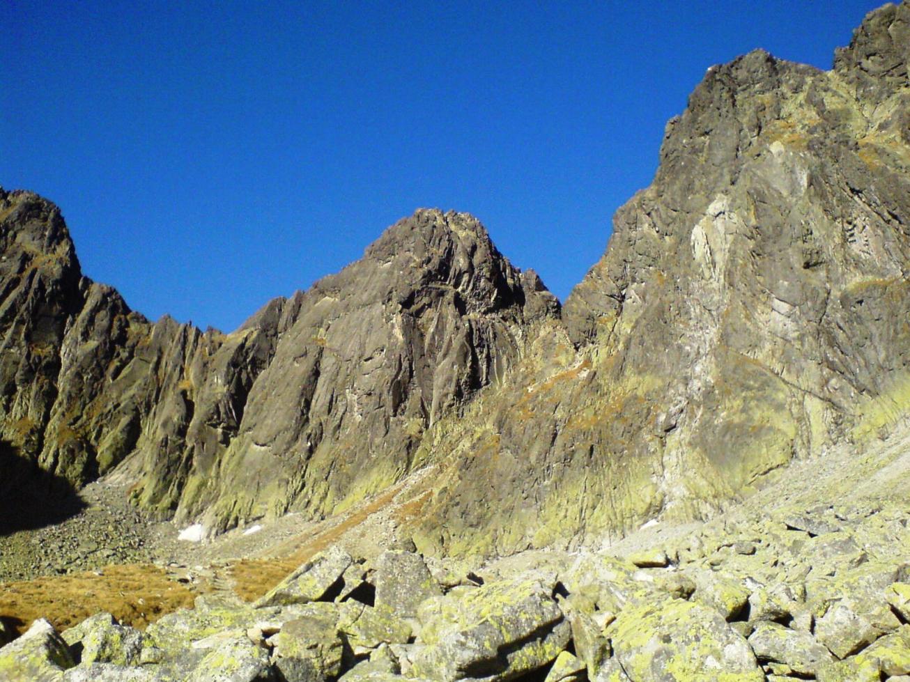 Zaprawa kondycyjna, Nordic walking