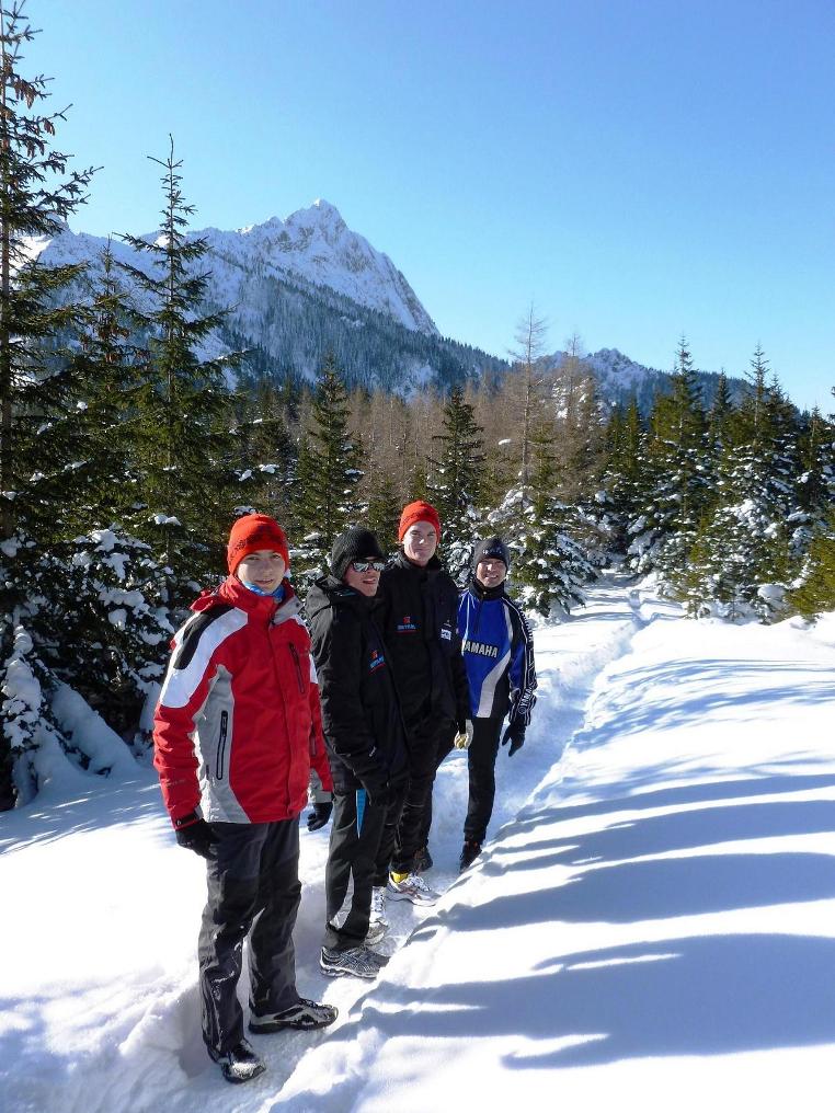 Zaprawa kondycyjna, Nordic walking