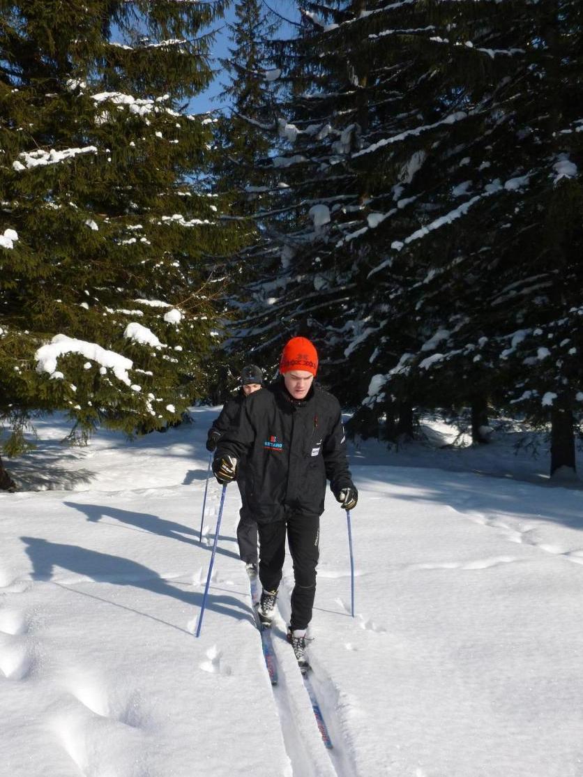 Zaprawa kondycyjna, Nordic walking