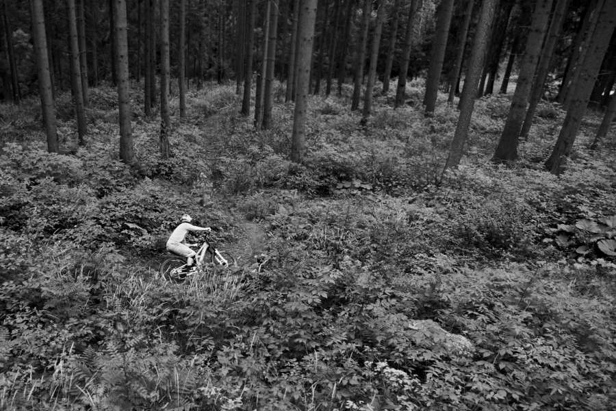 DownHill MTB