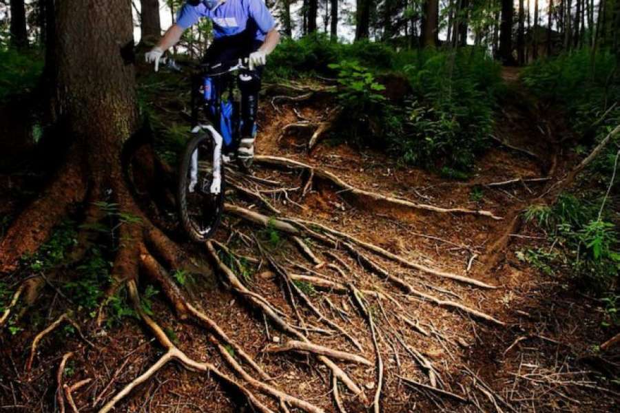 DownHill MTB
