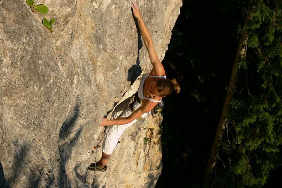 Wspinanie na jarońcowych VIII+