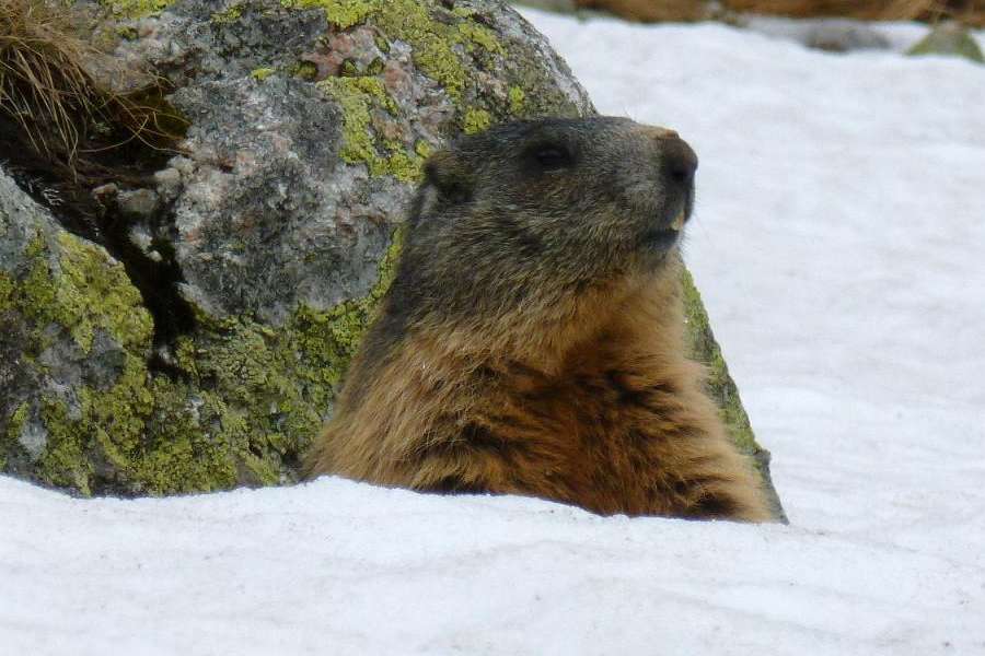 Tatry są piękne o każdej porze roku
