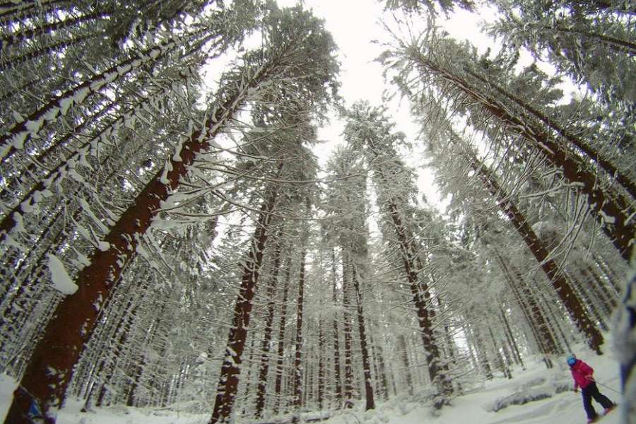 Instruktorzy narciarstwa