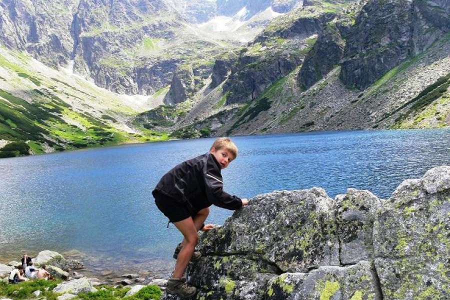 Zaprawa kondycyjna, Nordic walking