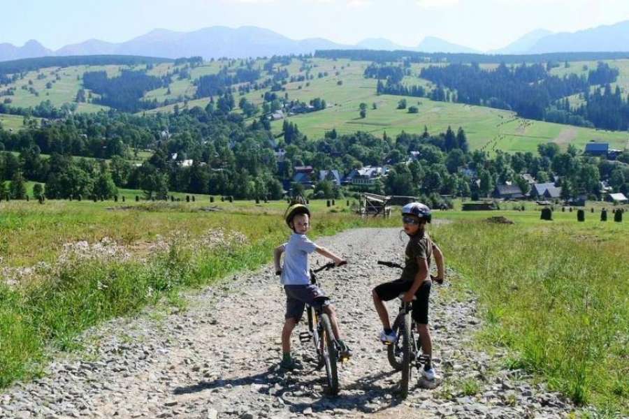 Zaprawa kondycyjna, Nordic walking