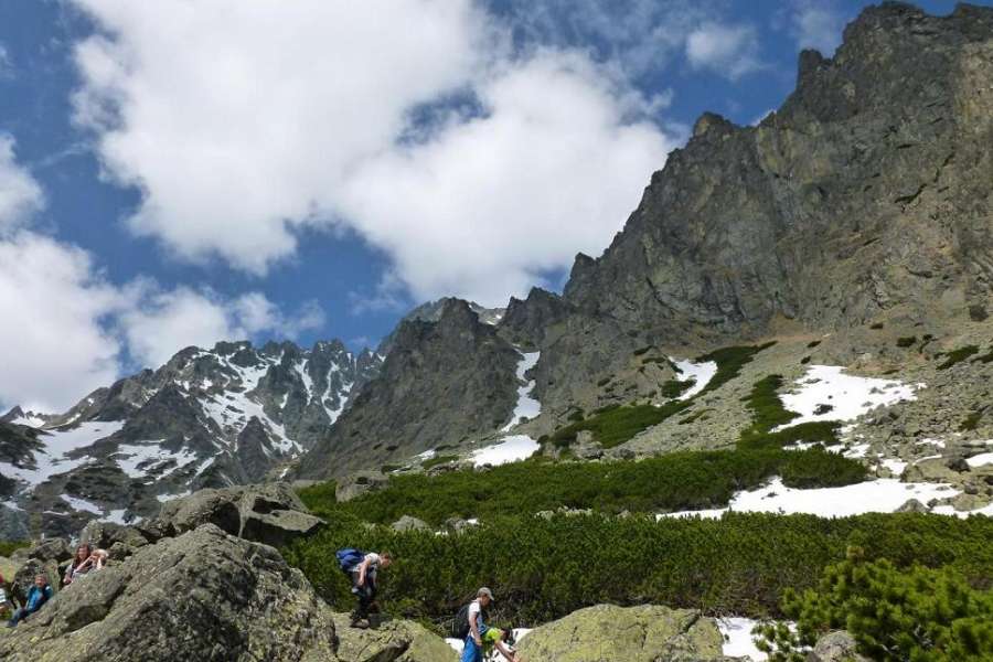 Zaprawa kondycyjna, Nordic walking