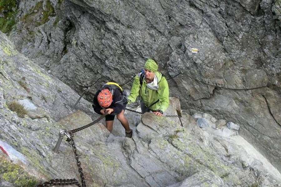 Zaprawa kondycyjna, Nordic walking