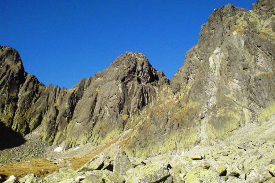 Zaprawa kondycyjna, Nordic walking