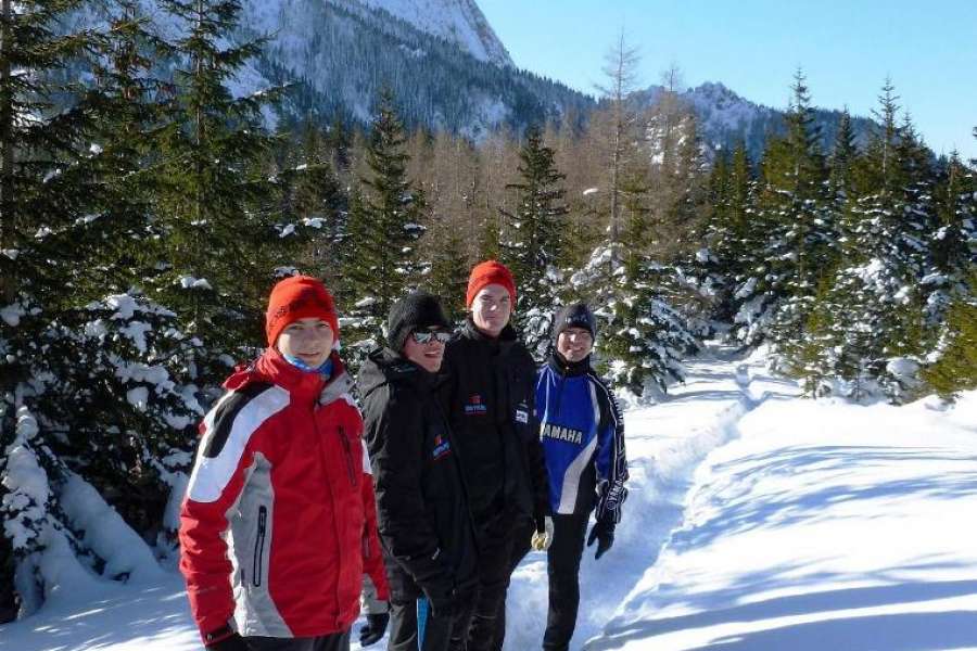 Zaprawa kondycyjna, Nordic walking