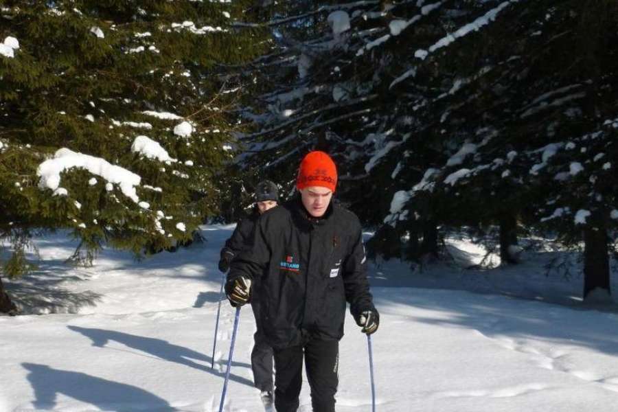Zaprawa kondycyjna, Nordic walking