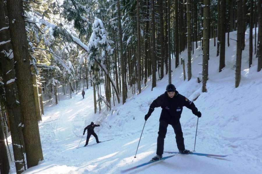 Zaprawa kondycyjna, Nordic walking