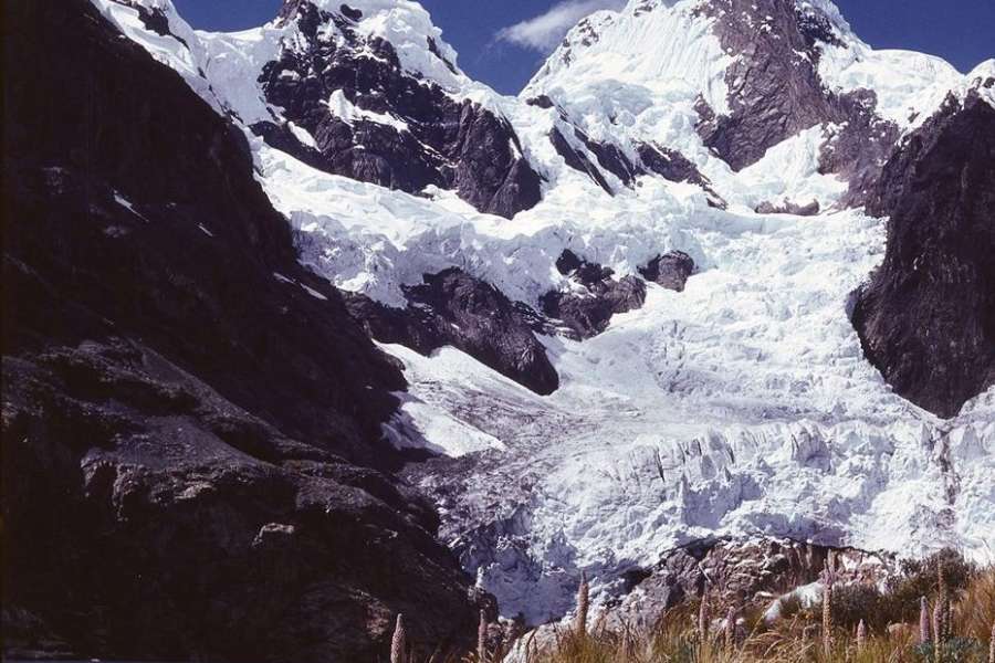 Przeżyłem więc wiem