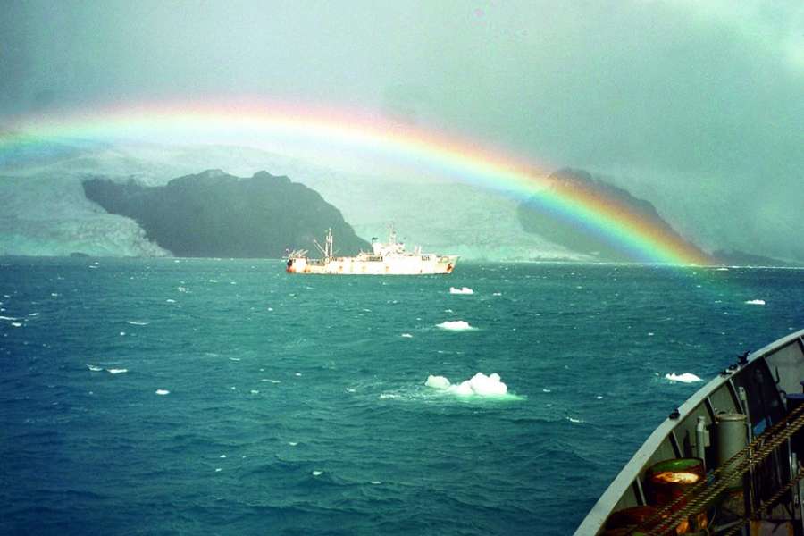 Przeżyłem więc wiem